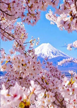 Laden Sie das Bild in den Galerie-Viewer, 42308818895054