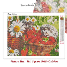 Load image into Gallery viewer, 5D Diamond Painting Hedgehog Rhinestone Pictures Animals Diamond Embroidery Cross Stitch Kit Mosaic Art Home Decor