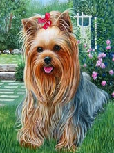 Laden Sie das Bild in den Galerie-Viewer, 42308803100878|42308803133646