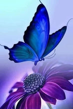 Cargar imagen en el visor de la galería, 42334275829966