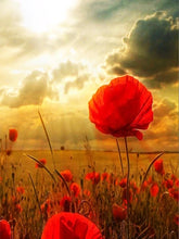 Cargar imagen en el visor de la galería, 42334296375502