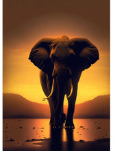 Load image into Gallery viewer, 42362446610638|42362446643406|42362446676174|42362446708942|42362446741710