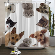 Laden Sie das Bild in den Galerie-Viewer, 42323471761614|42323471794382|42323471827150