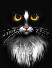 Laden Sie das Bild in den Galerie-Viewer, 42308831314126|42308831346894