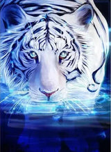 Laden Sie das Bild in den Galerie-Viewer, 42308832624846|42308832657614