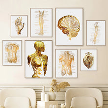 Laden Sie das Bild in den Galerie-Viewer, Abstract Organ Anatomy Human Heart Brain Hand Body In Gold Poster Canvas Print Wall Art  Painting Living Room Home Decoration