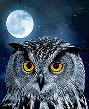 Laden Sie das Bild in den Galerie-Viewer, 42308831641806|42308831674574