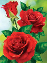 Cargar imagen en el visor de la galería, 42334296047822