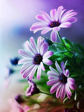 Cargar imagen en el visor de la galería, 42334276092110