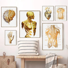 Laden Sie das Bild in den Galerie-Viewer, Abstract Organ Anatomy Human Heart Brain Hand Body In Gold Poster Canvas Print Wall Art  Painting Living Room Home Decoration