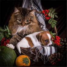 Laden Sie das Bild in den Galerie-Viewer, 5D DIY Full Square Diamond Painting Malerei Cartoon Tiere Katzen Mosaik Stickerei Kreuzstich Stickerei Handwerk Dekoration