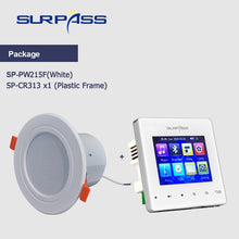 Cargar imagen en el visor de la galería, Mini Panel amplificador de pared, compatible con Bluetooth, Fm HiFi, cine en casa, sonido estéreo, Audio con altavoz de techo, sistema PA para baño