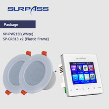 Cargar imagen en el visor de la galería, Mini Panel amplificador de pared, compatible con Bluetooth, Fm HiFi, cine en casa, sonido estéreo, Audio con altavoz de techo, sistema PA para baño