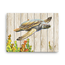 Load image into Gallery viewer, Art Canvas Print Wall Pictures living room Thousand-year-old sea turtle wood board background