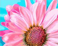 Laden Sie das Bild in den Galerie-Viewer, 60x75cm Rahmen Diy Malen nach Zahlen für Erwachsene Rosa Blumen Acryl Malen nach Zahlen Öl Leinwand Zeichnung Wohnkultur