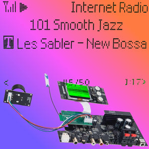 DIY KIT Internet Radio Board WiFi Internet Tuner Stereo Amplifier Module