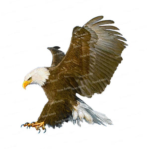 Three Ratels QCF168 Fierce Eagle adesivo da parete dipinto a mano per la decorazione domestica
