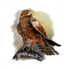 Carica l&#39;immagine nel visualizzatore della Galleria, 42353412243662|42353412276430|42353412309198|42353412341966|42353412374734