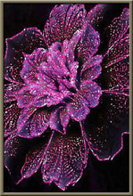 Cargar imagen en el visor de la galería, 42308799660238