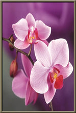 Cargar imagen en el visor de la galería, 42308800282830