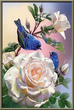 Cargar imagen en el visor de la galería, 42308799496398