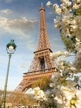 Laden Sie das Bild in den Galerie-Viewer, 42308818698446