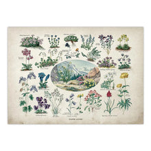 Загрузите изображение в программу просмотра галереи, 42326089433294|42326089466062|42326089498830|42326089531598|42326089564366|42326089597134|42326089629902|42326089662670|42326089695438