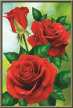 Cargar imagen en el visor de la galería, 42308799922382