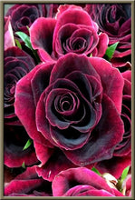 Cargar imagen en el visor de la galería, 42308799856846