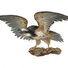 Carica l&#39;immagine nel visualizzatore della Galleria, Three Ratels QCF168 Fierce Eagle adesivo da parete dipinto a mano per la decorazione domestica