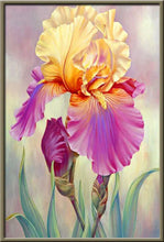 Cargar imagen en el visor de la galería, 42308800151758