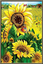 Cargar imagen en el visor de la galería, 42308799725774