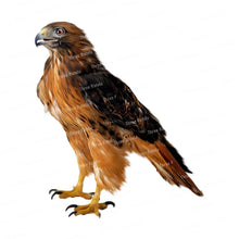 Carica l&#39;immagine nel visualizzatore della Galleria, 42353412571342|42353412604110|42353412636878|42353412669646|42353412702414