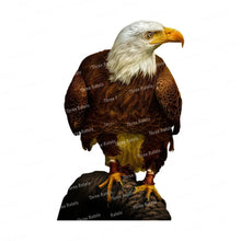 Carica l&#39;immagine nel visualizzatore della Galleria, 42353412407502|42353412440270|42353412473038|42353412505806|42353412538574