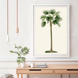 Ilustraciones Vintage de palmeras tropicales, carteles e impresiones de palmeras, cuadro sobre lienzo para pared botánico, imágenes para decoración del hogar
