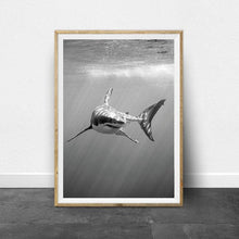 Cargar imagen en el visor de la galería, Gran tiburón blanco, carteles e impresiones en blanco y negro, cuadro sobre lienzo para pared natural monocromático, imágenes para decoración del hogar y la sala de estar