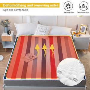 Euro Electric Blanket Heated Double Thermal Blanket 150 180cm Adjustable Electric Warmer Electric Heating Blanket Dropshipping