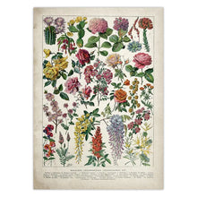 Загрузите изображение в программу просмотра галереи, 42326086779086|42326086811854|42326086844622|42326086877390|42326086910158|42326086942926|42326086975694|42326087008462|42326087073998