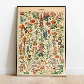 Quadro di fiori vintage Poster Pittura su tela Stampa Pianta Arte della parete Immagine botanica Biologia Poster Decorazione della cucina Senza cornice