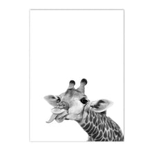 Загрузите изображение в программу просмотра галереи, 42301016506574|42301016539342|42301016572110|42301016604878|42301016637646|42301016670414|42301016703182|42301016735950|42301016768718|42301016801486|42301016834254|42301016867022