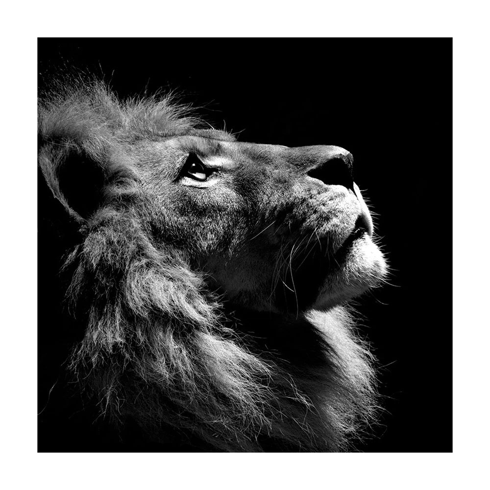 Animals Painting Lion Poster Black and White Wall Art Canvas Prints Wall Pictures for Living Room Decoration Lions head Nordic