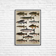 Cargar imagen en el visor de la galería, Póster Artístico en lienzo para pared de pesca con caña, pintura de razas de peces, imagen de pared de peces de agua dulce, regalo de pescador, decoración de cueva para hombre