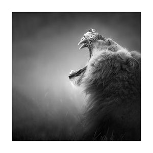 Animals Painting Lion Poster Black and White Wall Art Canvas Prints Wall Pictures for Living Room Decoration Lions head Nordic