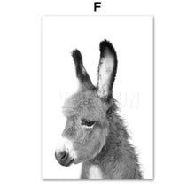 Загрузите изображение в программу просмотра галереи, 42328545394894|42328545460430|42328545558734|42328545689806|42328545788110|42328545886414|42328545984718