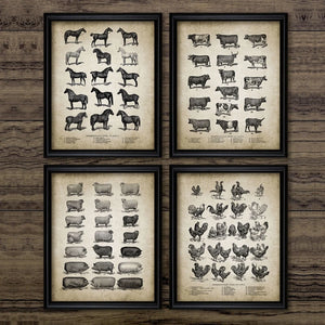 Póster Vintage de animales de granja, impresión de pollo, cerdo, oveja y caballo, cuadro sobre lienzo para pared, imagen de Animal Retro, decoración del hogar