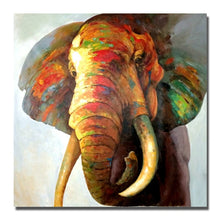 Charger l&#39;image dans la galerie, 42429289627854|42429289660622|42429289693390|42429289726158|42429289758926|42429289791694|42429289824462|42429289857230|42429289889998|42429289922766|42429289955534|42429289988302|42429290021070|42429290053838|42429290086606