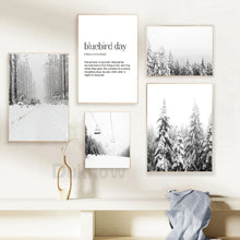 Carica l&#39;immagine nel visualizzatore della Galleria, Sci Montagna Stampa Fotografia in bianco nero Arte della parete Tela Pittura Immagine Amante dello sci Regalo Poster Decorazione domestica moderna nordica