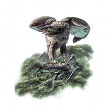 Carica l&#39;immagine nel visualizzatore della Galleria, 42353412079822|42353412112590|42353412145358|42353412178126|42353412210894