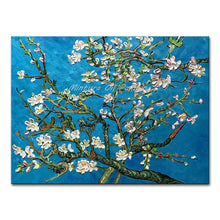 Cargar imagen en el visor de la galería, 42420292583630|42420292681934|42420292747470|42420292813006|42420292878542|42420292976846|42420293042382|42420293107918