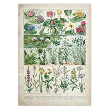 Загрузите изображение в программу просмотра галереи, 42326087139534|42326087237838|42326087303374|42326087368910|42326087467214|42326087532750|42326087598286|42326087663822|42326087729358